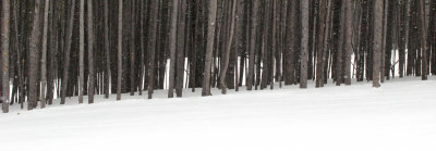 Breckenridge, CO  2-2008