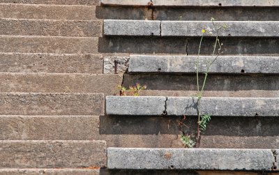 steps and seats, old McCants field