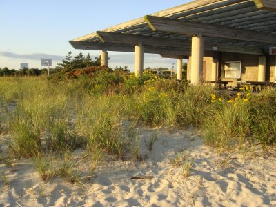 FALL AT THE BEACH