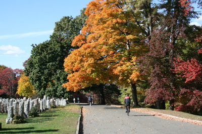 We  rode through Westchester County's fabulous Fall colors all day
