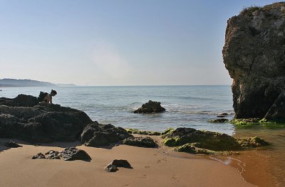 IMG_3108.jpg