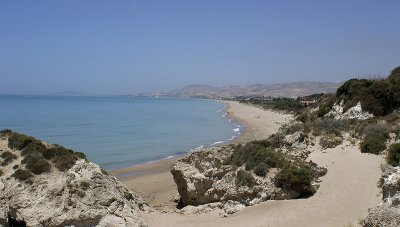 IMG_3169.jpg