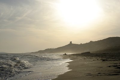 IMG_3224.jpg