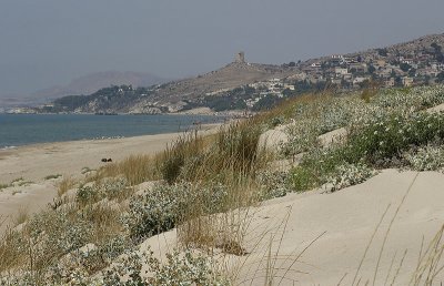IMG_4816.jpg
