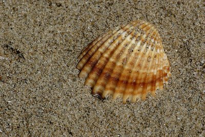 IMG_4808.jpg