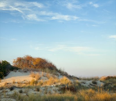 Pastel Dunes