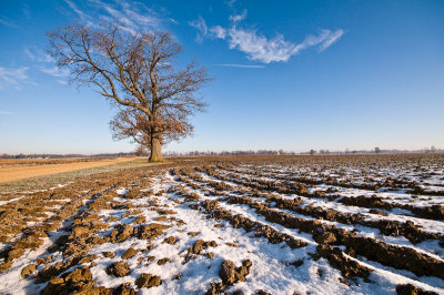 November Farm Country