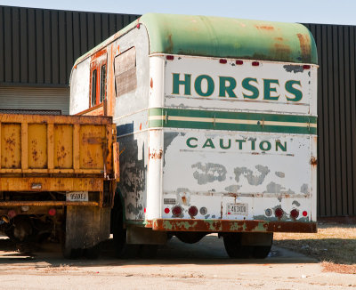 Horses Caution