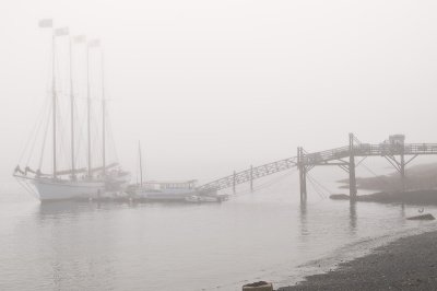 Masts in the Fog