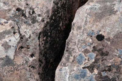 Rock and Lichens