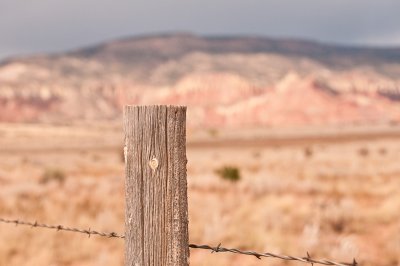 Fencepost in the Desert