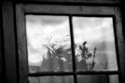 Window Reflection