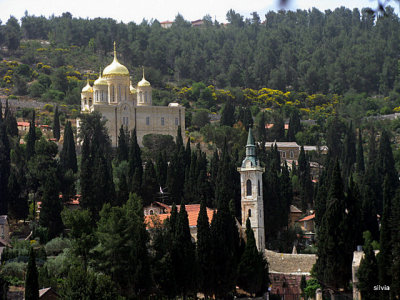 ein karem-vista