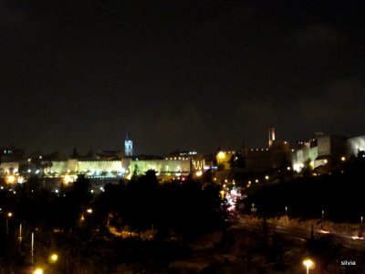 vista nocturna