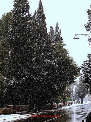nieve