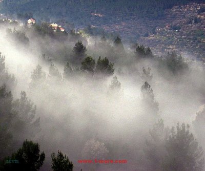 ein karem
