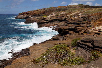 Oahu