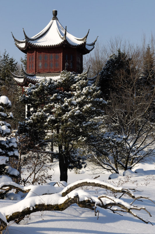 Le jardin chinois en hiver