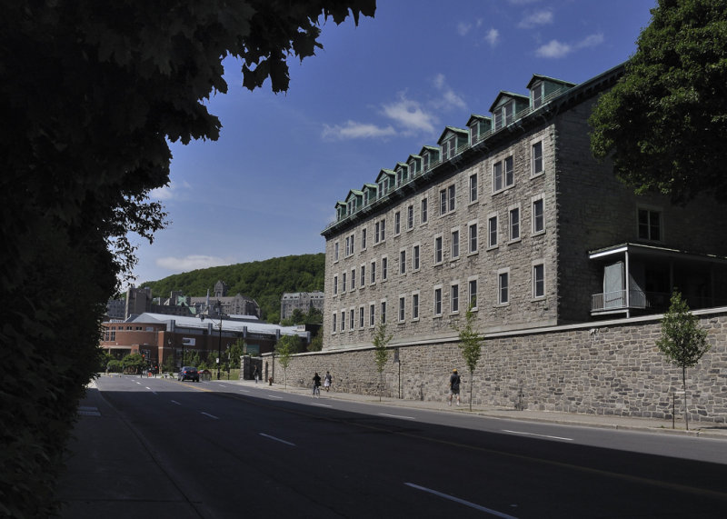 Le Mont-Royal vue de l'avenue Des Pins