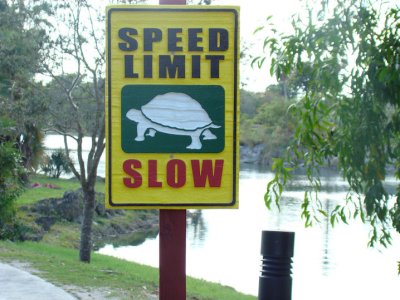 sign.jpg