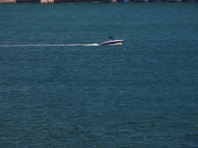 g1/33/738133/3/110697490.u7Hyb1DV.jpg