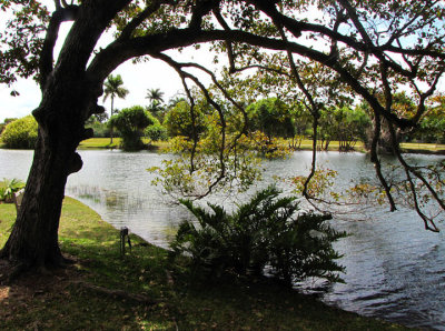 lake