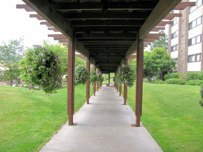 Covered Walk at the Hotel