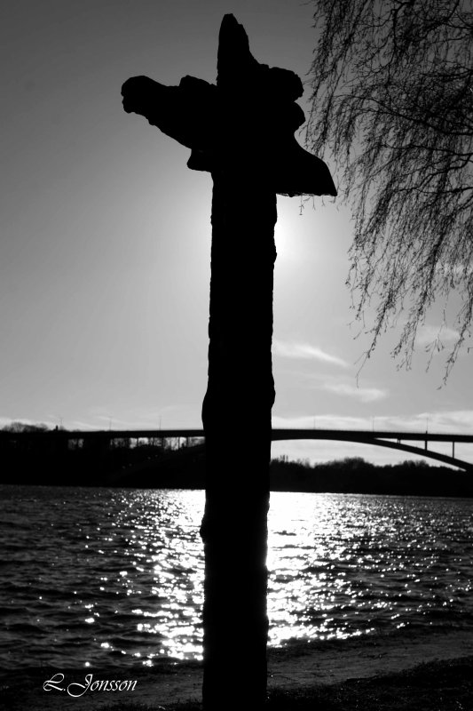 _MG_3687.jpg