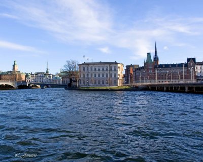 _MG_3712.jpg