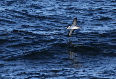 IMG_6117.13.10.CC.jpg