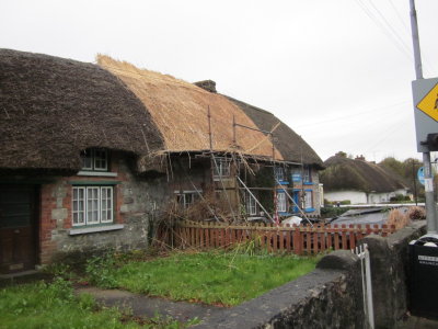 g1/33/7733/3/130873541.wWEK4aQL.jpg
