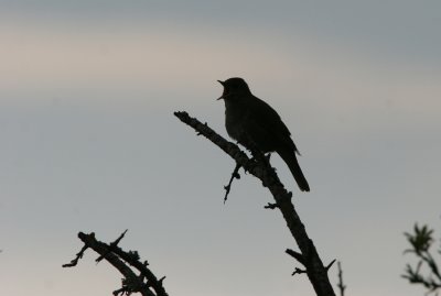 g1/33/781833/3/125532622.WJaIntuW.jpg