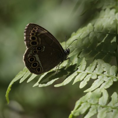 g1/33/781833/3/126166149.u7NCYZFP.jpg