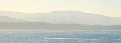 g1/33/790833/3/103939369.CVexH7V7.jpg