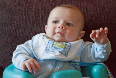 JVY 3 Months Old