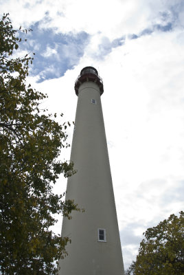 DSC_5596_edited-1.jpg