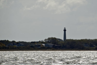 Farewell Cape may