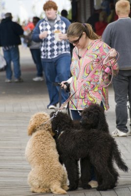 On the Boardwalk