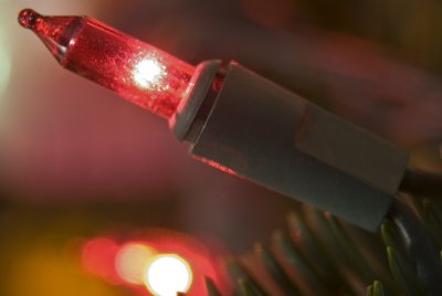 Lights On My Tree