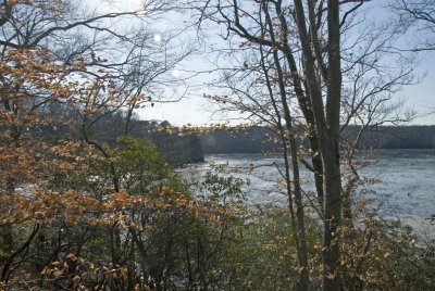 Oxbow Lake Nature Preserve