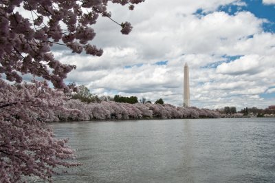 Tidal Basin