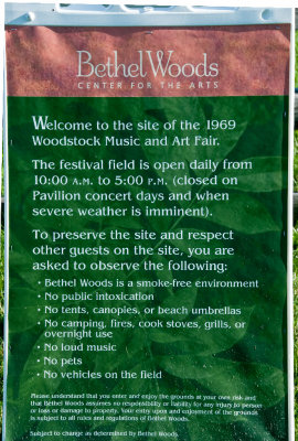 Woodstock  40th Anniversary - Ironic