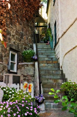 Steps