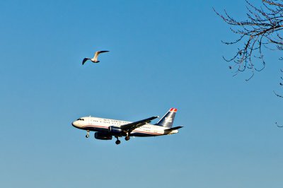 It's a Bird ! It's a Plane !   Really.