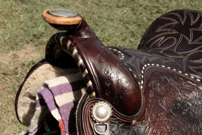gullet and horn view