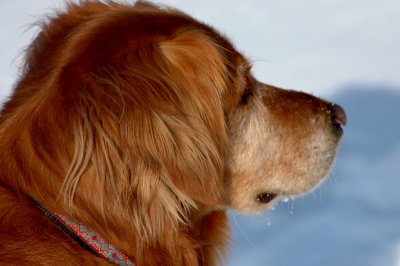 DSC_0088.JPG