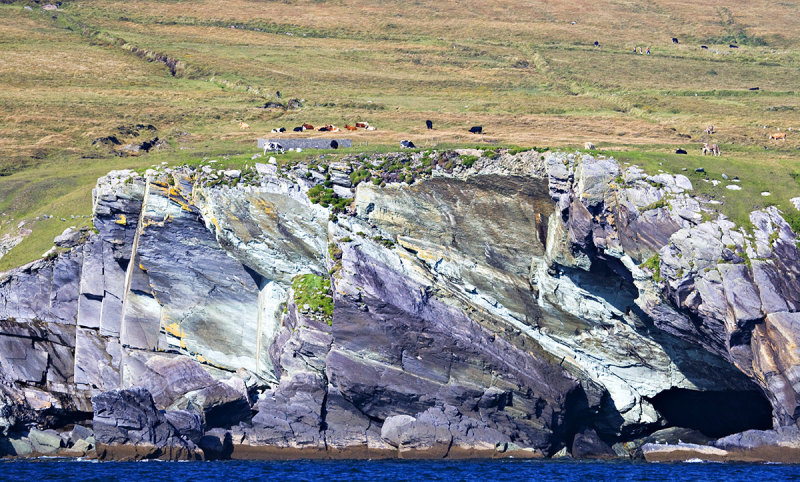 Sandstone Cliffs, Valentia Island, Co. Kerry