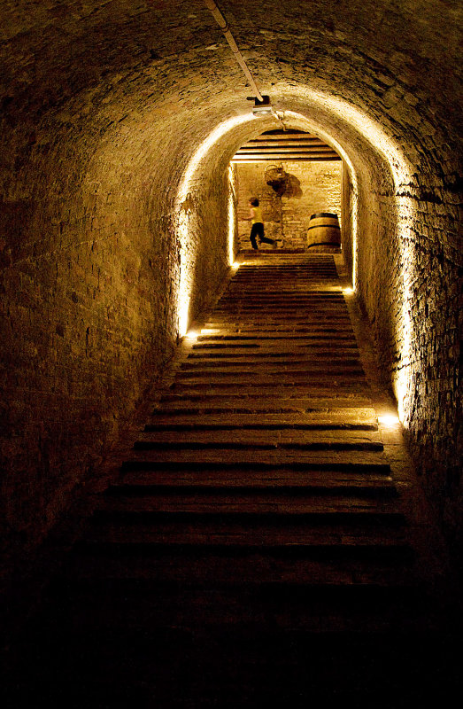 Abbey Cellar