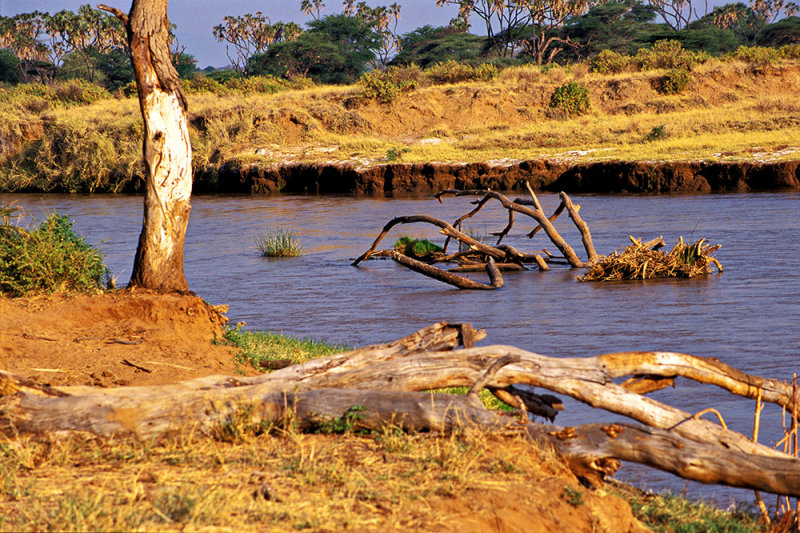 Ewasu Nigra River