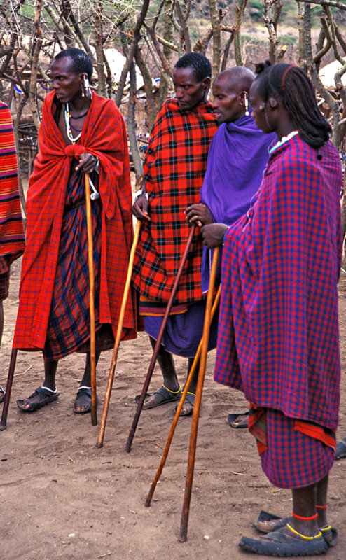 Maasai Warriors